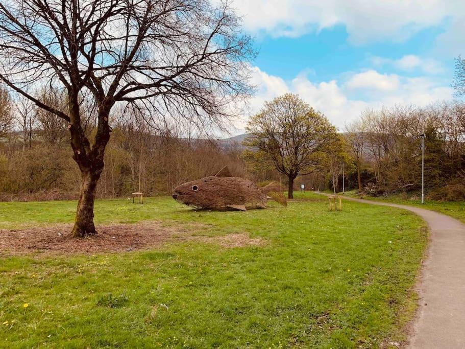 Old Canal-side Taff Trail Merthyr Tydfil * Abercanaid